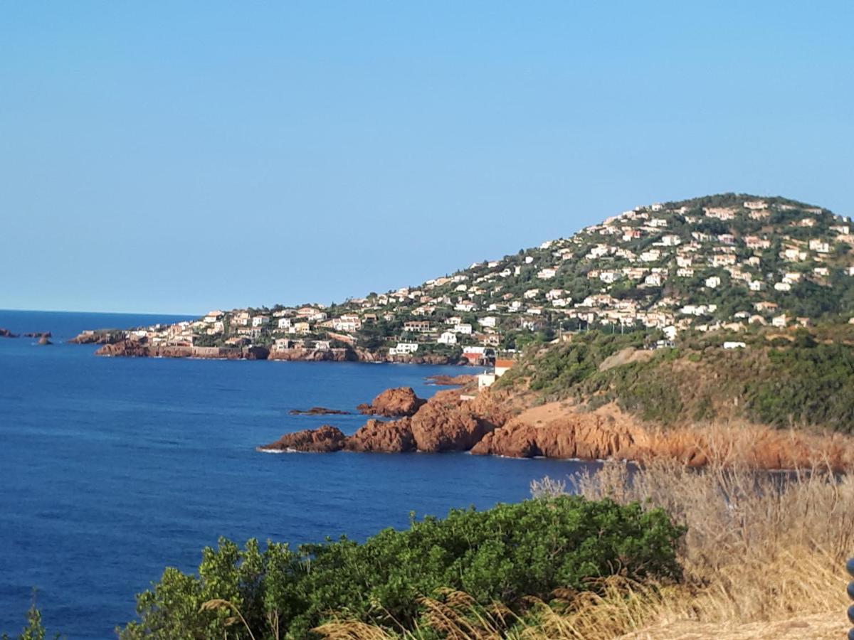 Fréjus plage T2, piscine, parking, plages à 200m Exterior foto
